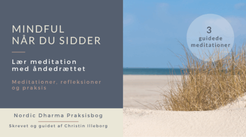 Praksisbog om siddende meditation