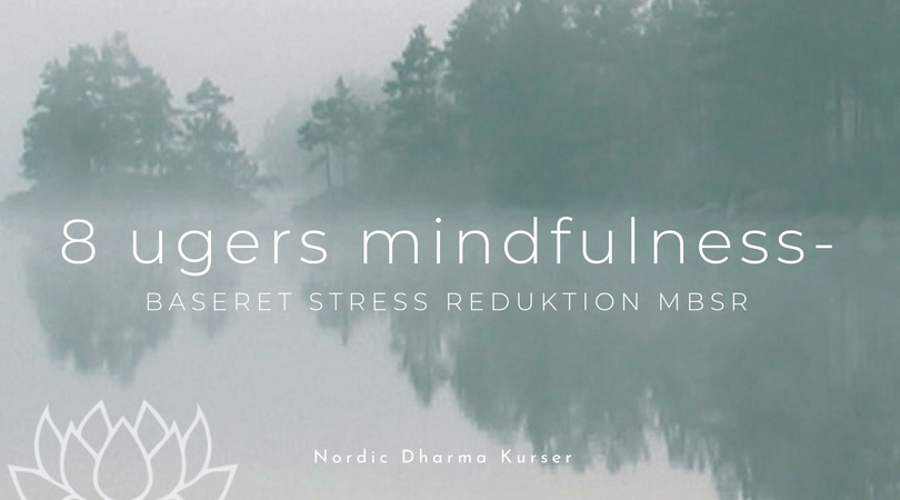 Mindfulness-kursus i Nordsjlland hos Mette Weinreich