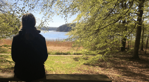 8-ugers mindfulnesskursus: MBKT. Start 17 september